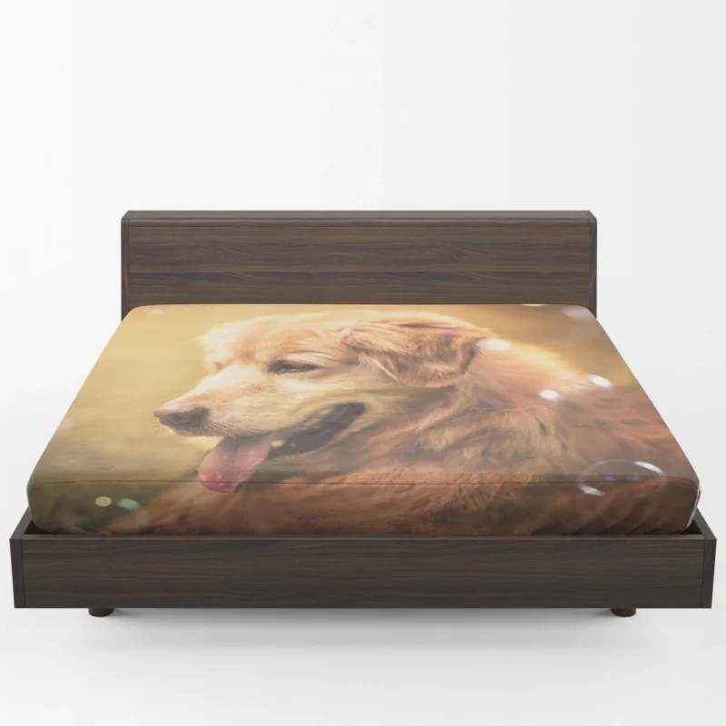 Joyful Quartet: Golden Retrievers with Bubbles Fitted Sheet 1