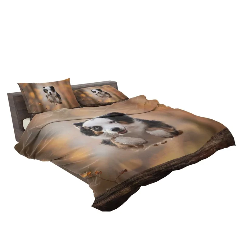 Jumping Canine over a Log with Depth Of Field: Australian Shepherd Bedding Set 2