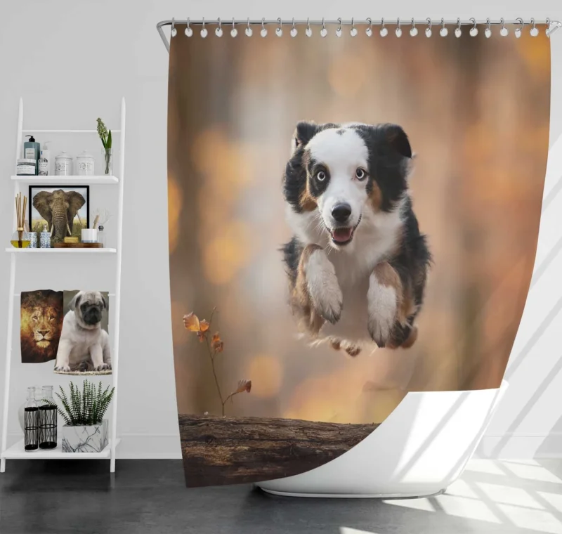 Jumping Canine over a Log with Depth Of Field: Australian Shepherd Shower Curtain