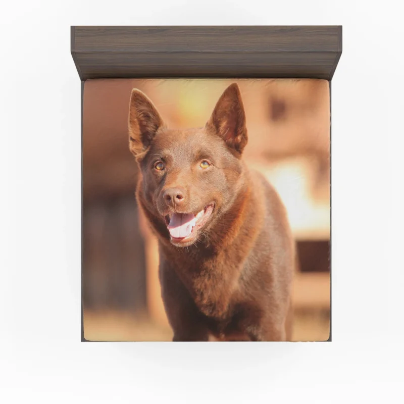 Kelpie Memorable Role: Red Dog Movie Star Fitted Sheet