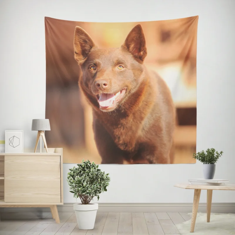 Kelpie Memorable Role  Red Dog Movie Star Wall Tapestry