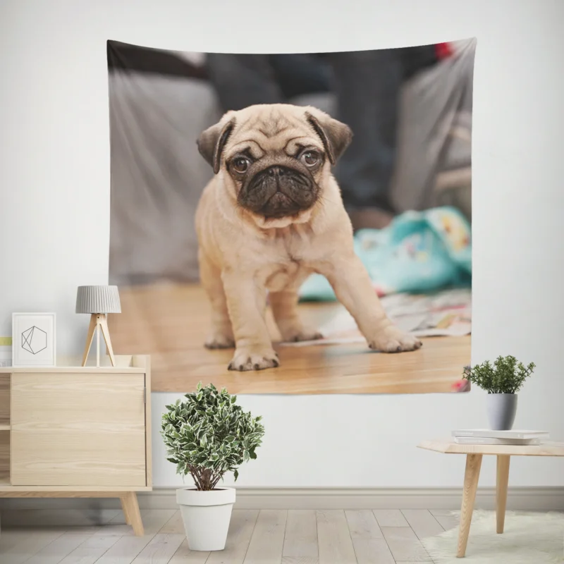 Kid-Friendly Majesty  Fourfold Pug Quartet Wall Tapestry