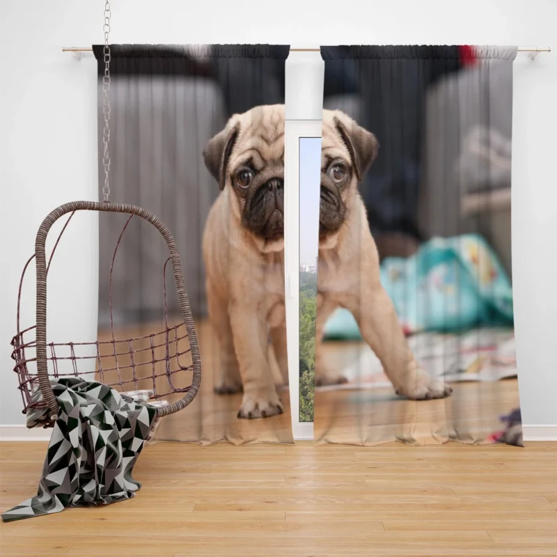 Kid-Friendly Majesty: Fourfold Pug Quartet Window Curtain