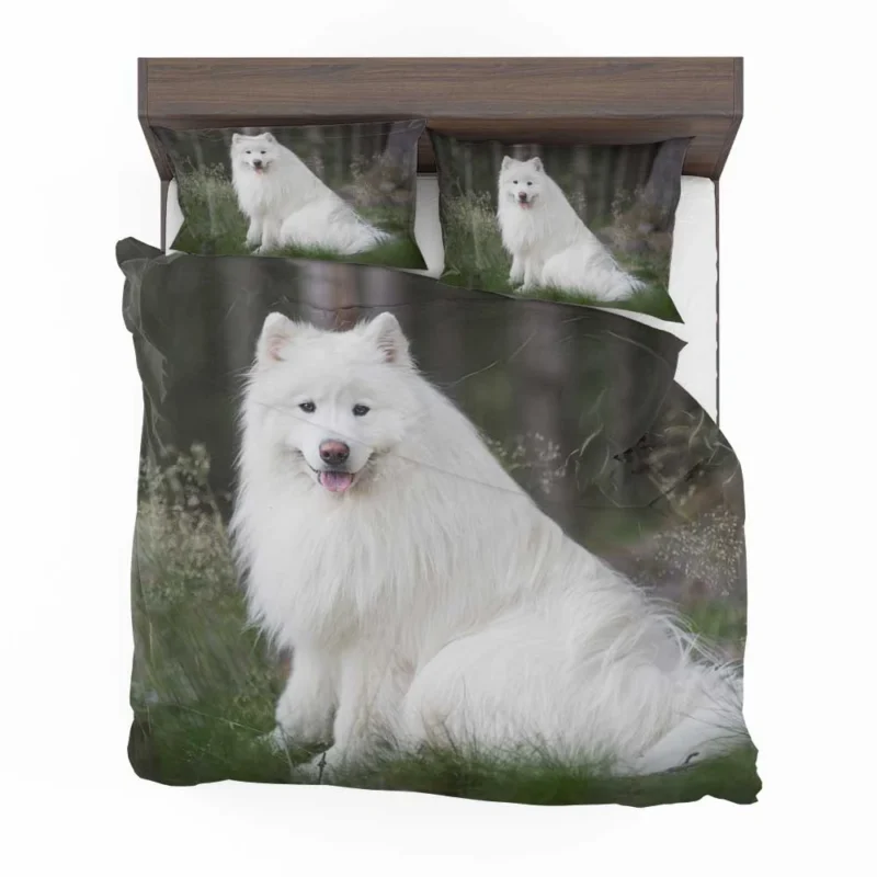 Kid-Friendly Samoyed: Quartet Bedding Set 1