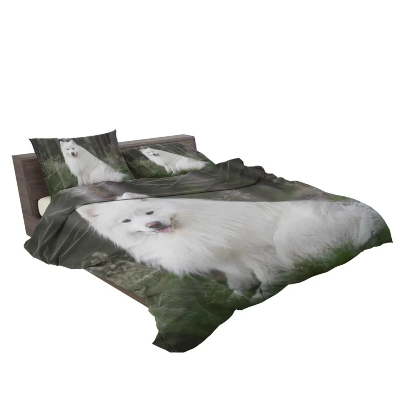 Kid-Friendly Samoyed: Quartet Bedding Set 2