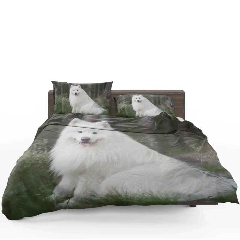 Kid-Friendly Samoyed: Quartet Bedding Set