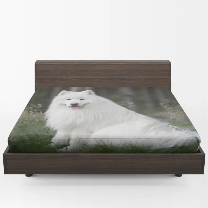 Kid-Friendly Samoyed: Quartet Fitted Sheet 1