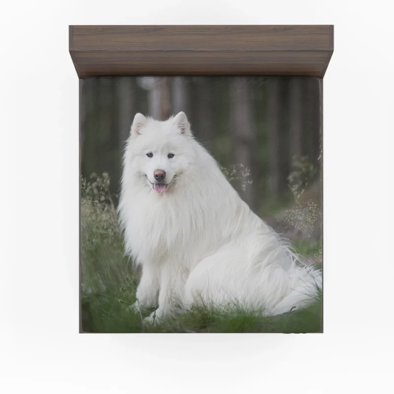 Kid-Friendly Samoyed: Quartet Fitted Sheet