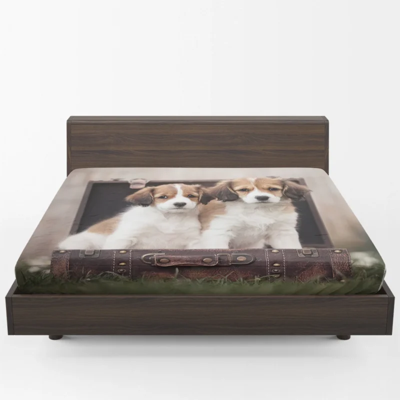 Kooikerhondje Quartet: Puppies in a Vintage Suitcase Fitted Sheet 1