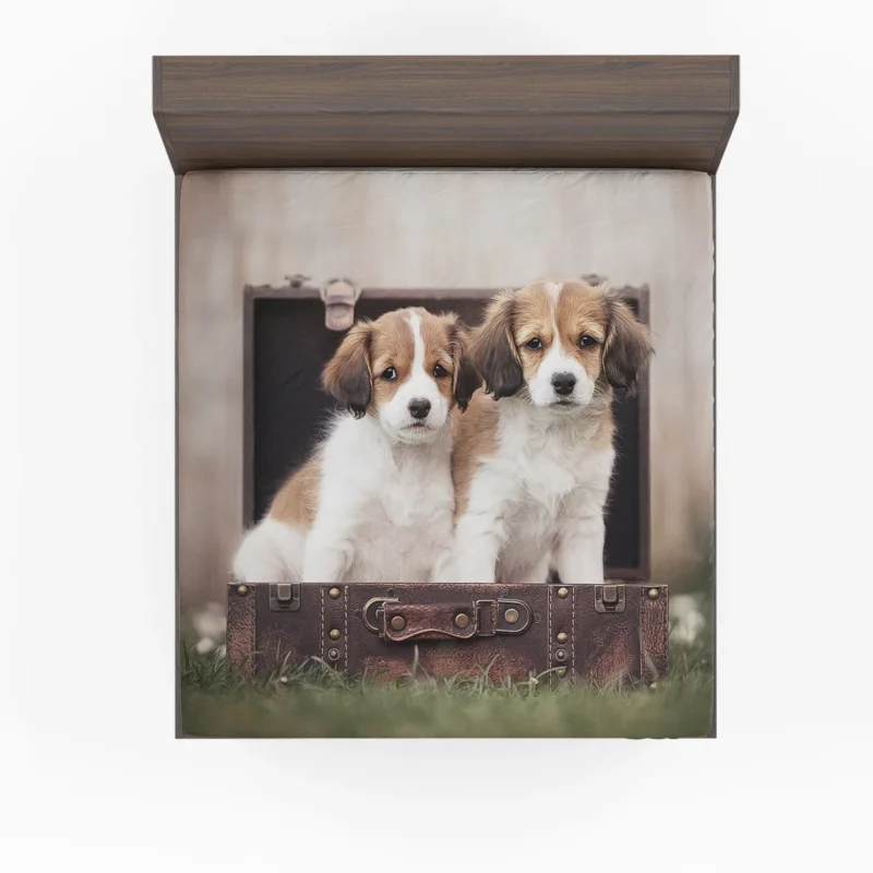 Kooikerhondje Quartet: Puppies in a Vintage Suitcase Fitted Sheet