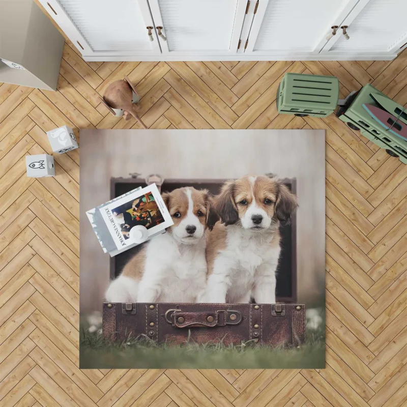 Kooikerhondje Quartet: Puppies in a Vintage Suitcase Floor Rug