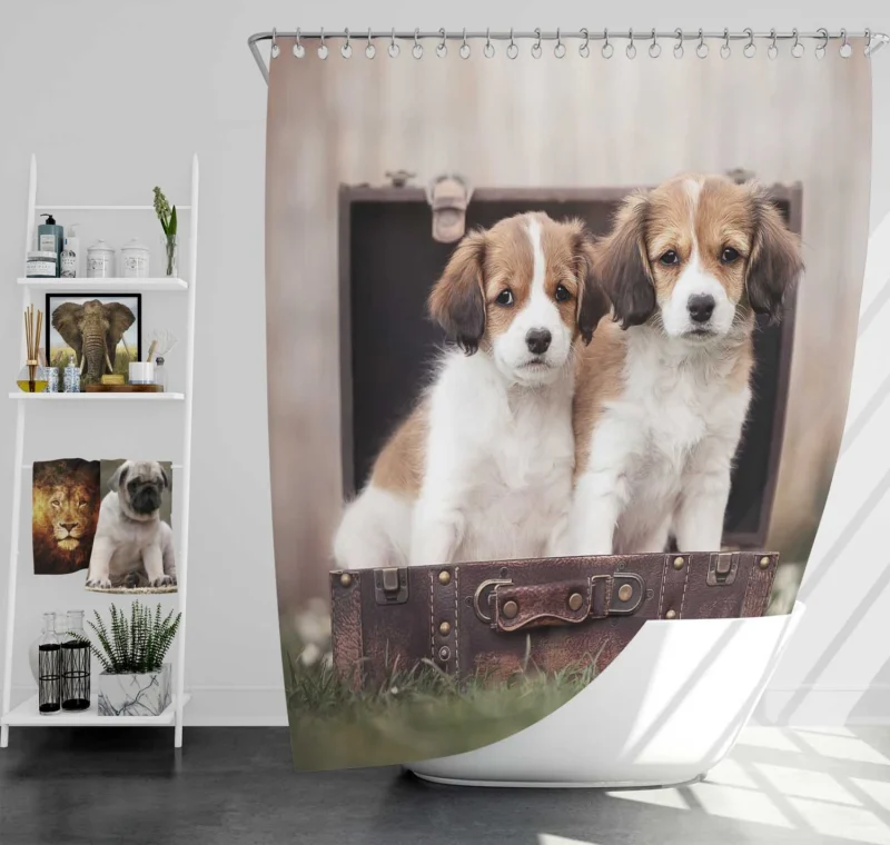 Kooikerhondje Quartet: Puppies in a Vintage Suitcase Shower Curtain