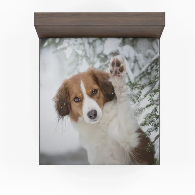 Kooikerhondje Quartet in Winter: Hi There ?? Fitted Sheet