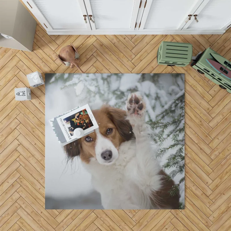 Kooikerhondje Quartet in Winter: Hi There ?? Floor Rug