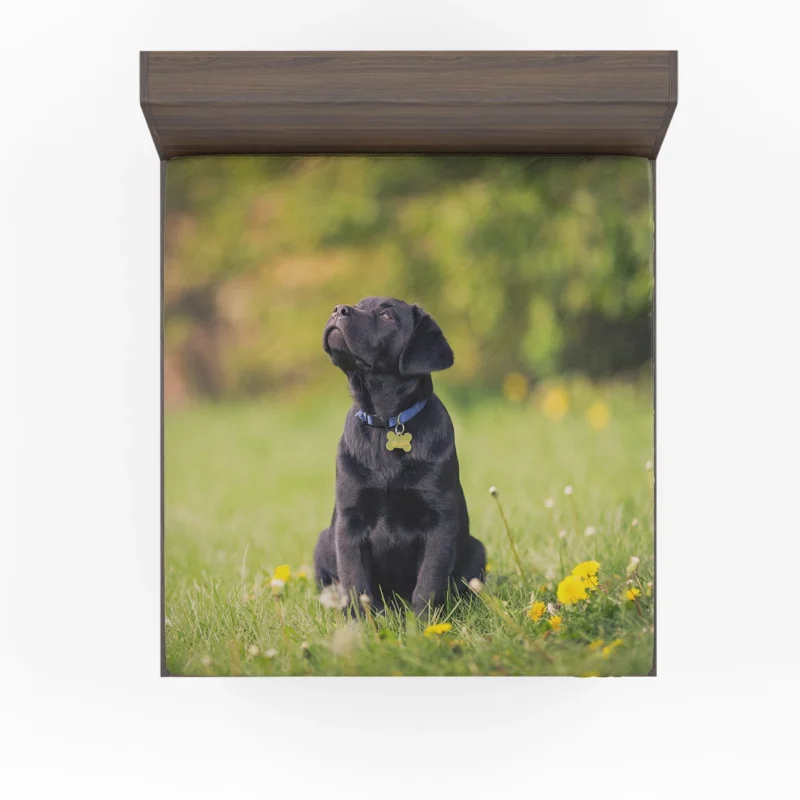 Labrador Puppy Quartet in Dandelion Fields Fitted Sheet