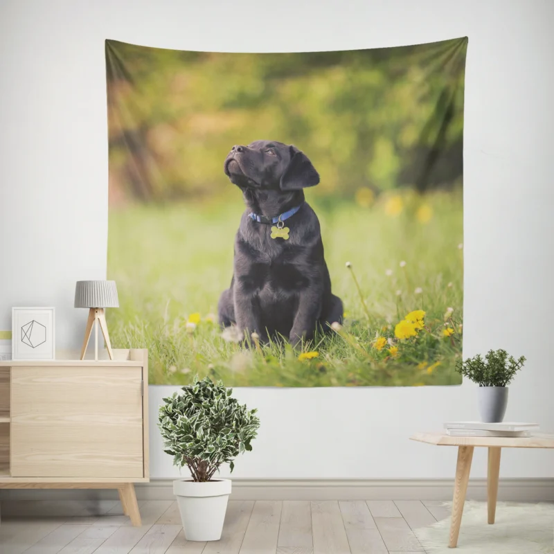 Labrador Puppy Quartet in Dandelion Fields Wall Tapestry