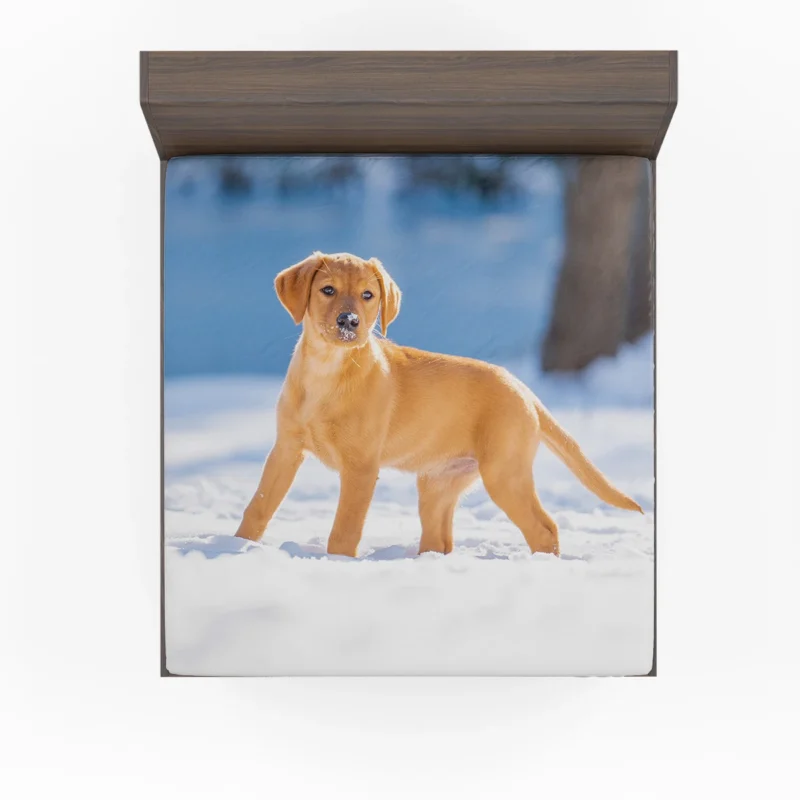 Labrador Quartet Delight: A Happy Black Lab Fitted Sheet