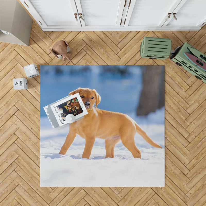 Labrador Quartet Delight: A Happy Black Lab Floor Rug