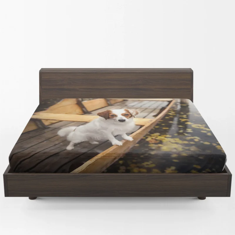 Lakeside Beauty: Kooikerhondje Quartet by the Boat Fitted Sheet 1