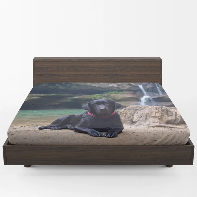 Lakeside Labrador Beauty: Labrador Quartet Fitted Sheet 1