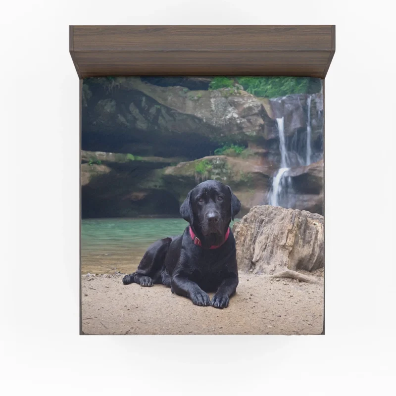 Lakeside Labrador Beauty: Labrador Quartet Fitted Sheet