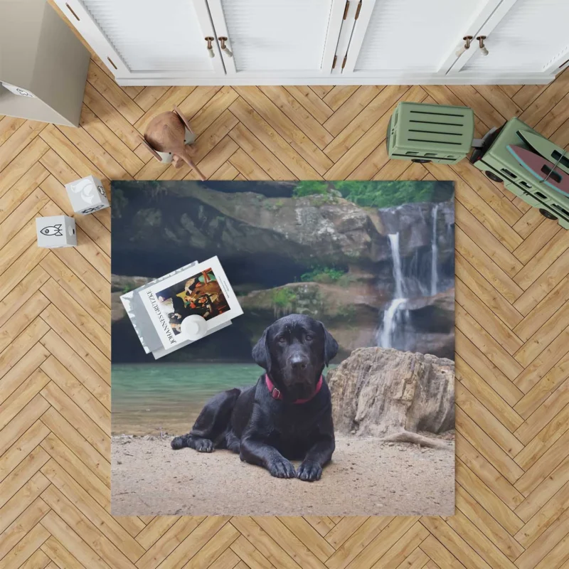 Lakeside Labrador Beauty: Labrador Quartet Floor Rug