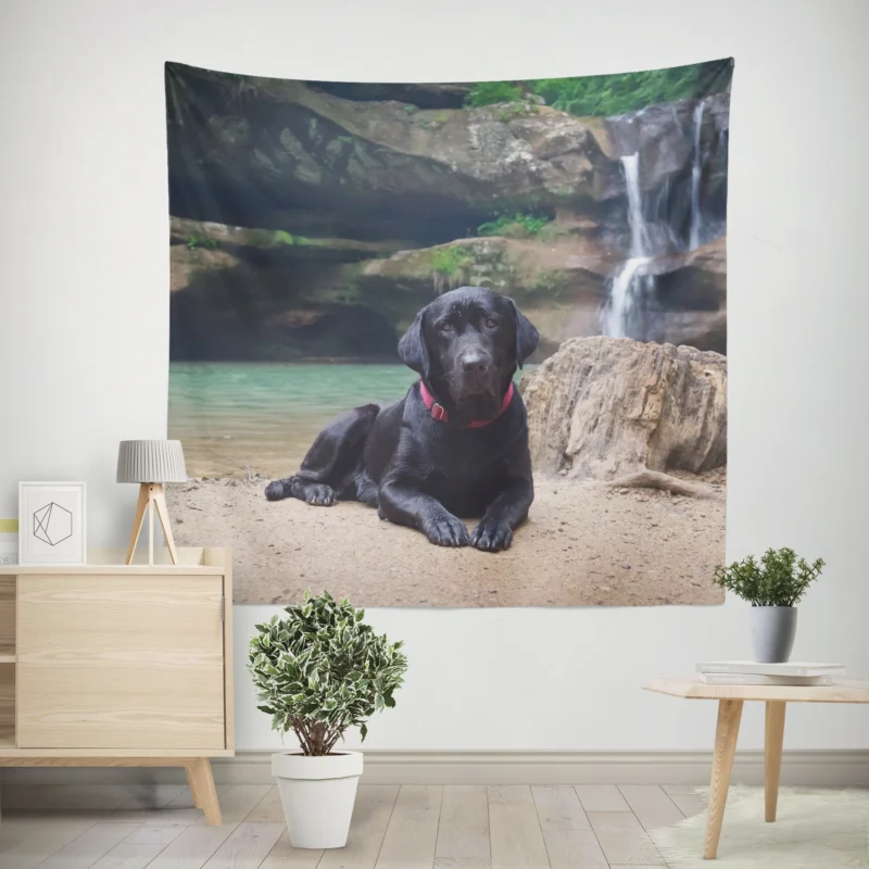 Lakeside Labrador Beauty  Labrador Quartet Wall Tapestry