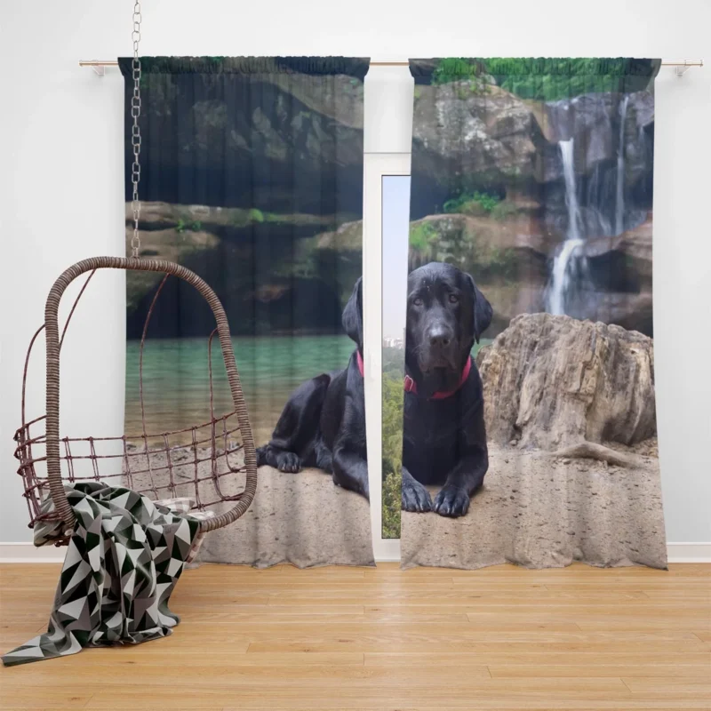 Lakeside Labrador Beauty: Labrador Quartet Window Curtain