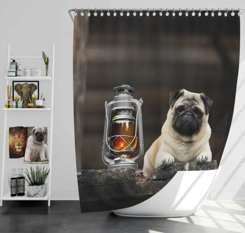 Lantern Light: Pug Quartet Shower Curtain