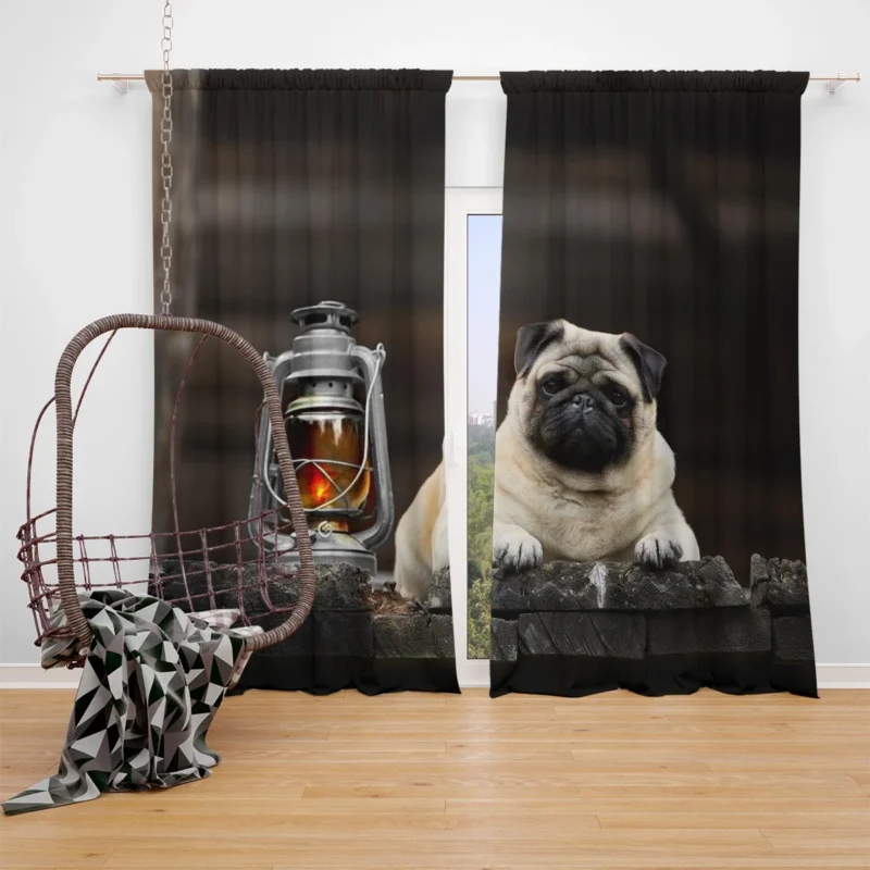 Lantern Light: Pug Quartet Window Curtain