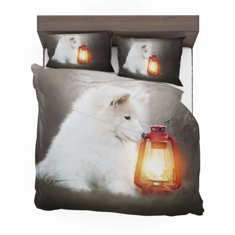 Lantern-Lit Samoyed: Quartet Bedding Set 1