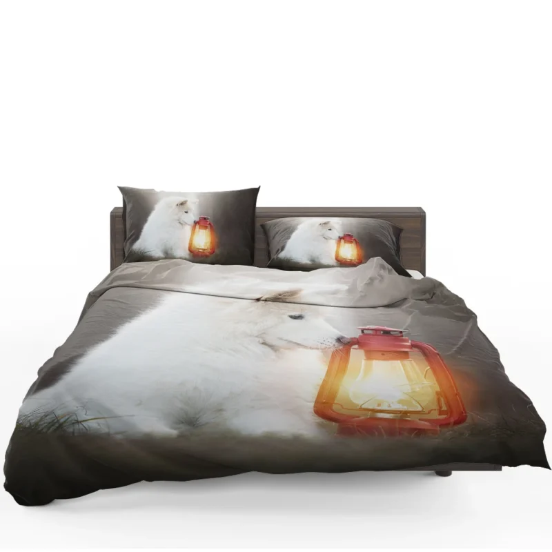 Lantern-Lit Samoyed: Quartet Bedding Set