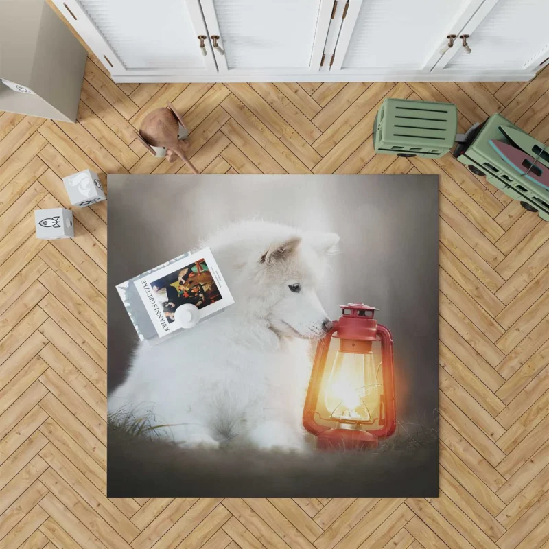 Lantern-Lit Samoyed: Quartet Floor Rug