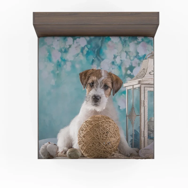 Lantern-Lit Sealyham Terrier Quartet Fitted Sheet