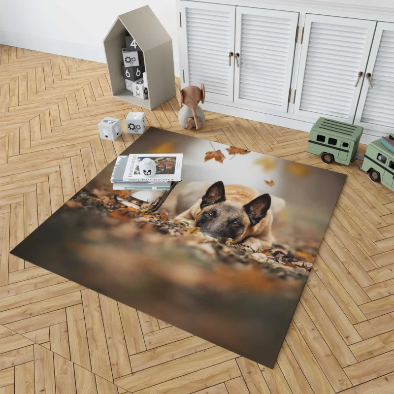 Lantern with Depth Of Field: Belgian Shepherd Floor Rug 1