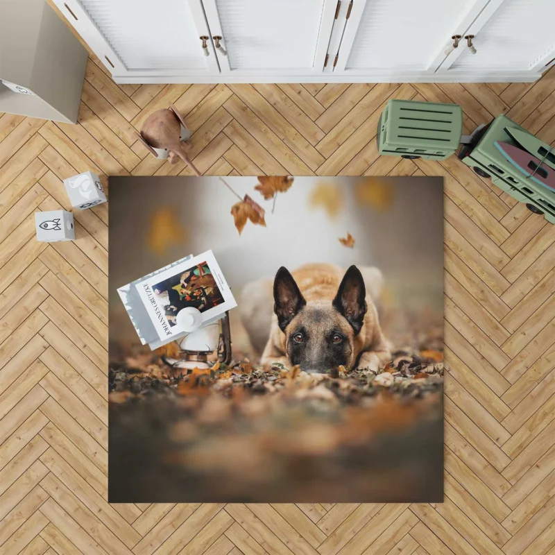 Lantern with Depth Of Field: Belgian Shepherd Floor Rug