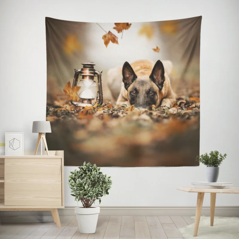 Lantern with Depth Of Field  Belgian Shepherd Wall Tapestry