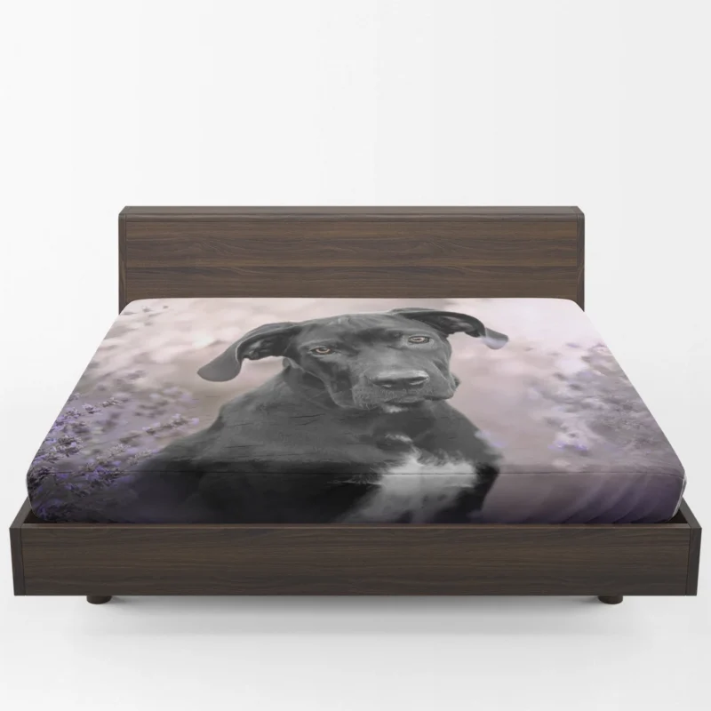 Lavender Dreams: Cane Corso Quartet Fitted Sheet 1