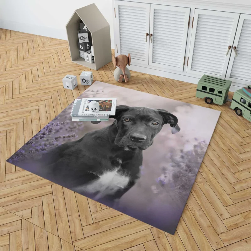 Lavender Dreams: Cane Corso Quartet Floor Rug 1