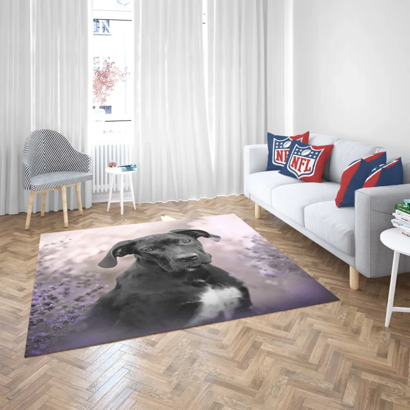 Lavender Dreams: Cane Corso Quartet Floor Rug 2