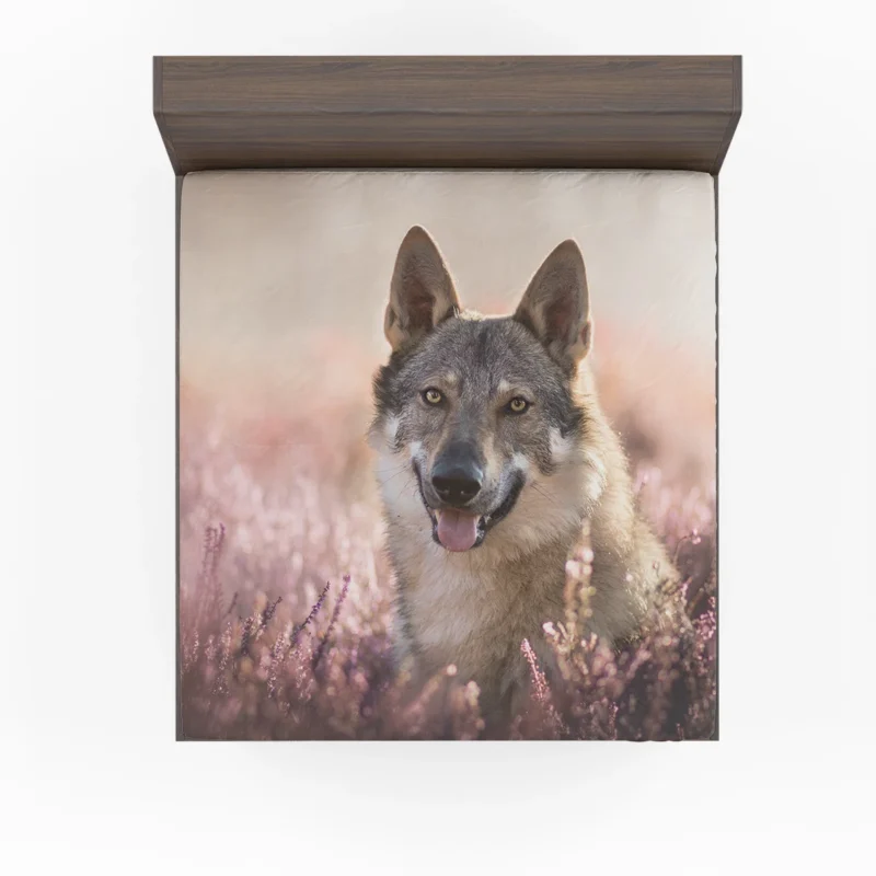 Lavender Dreams: Purple Wolfdog Quartet Fitted Sheet