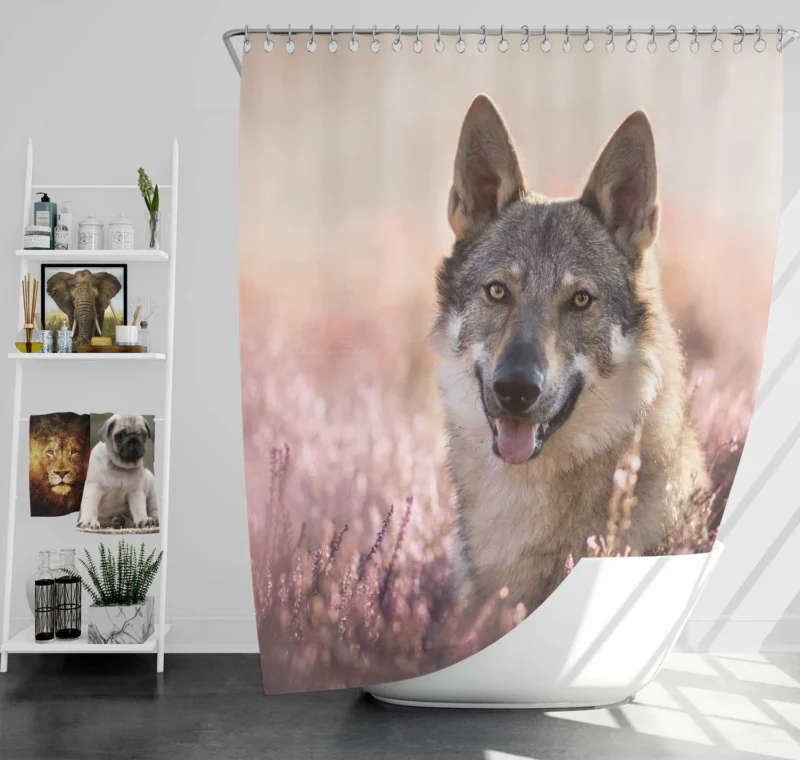 Lavender Dreams: Purple Wolfdog Quartet Shower Curtain