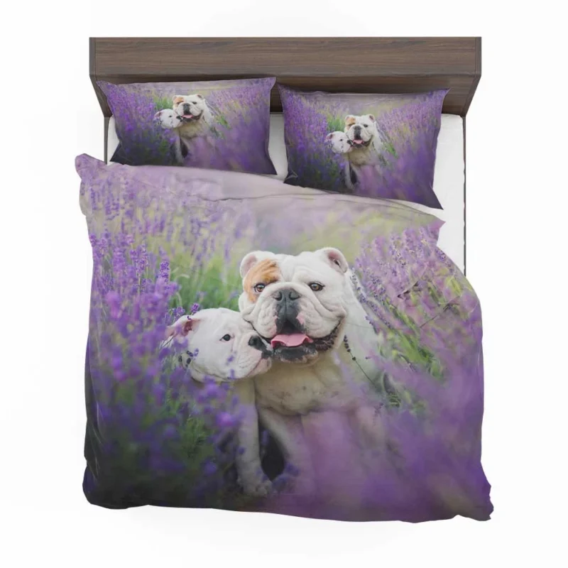 Lavender Dreams with Puppies: Bulldog Quartet Bedding Set 1