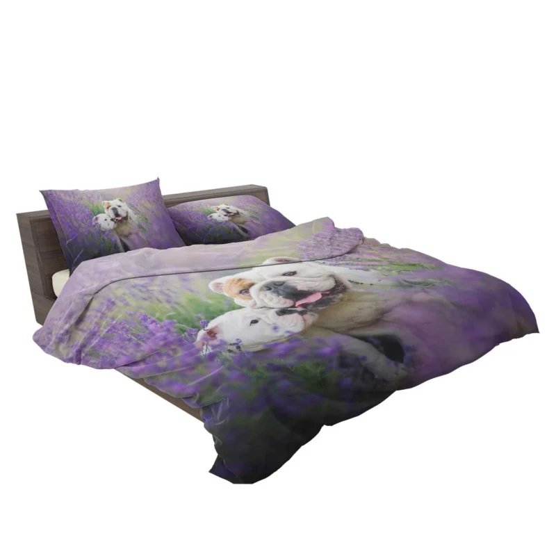 Lavender Dreams with Puppies: Bulldog Quartet Bedding Set 2