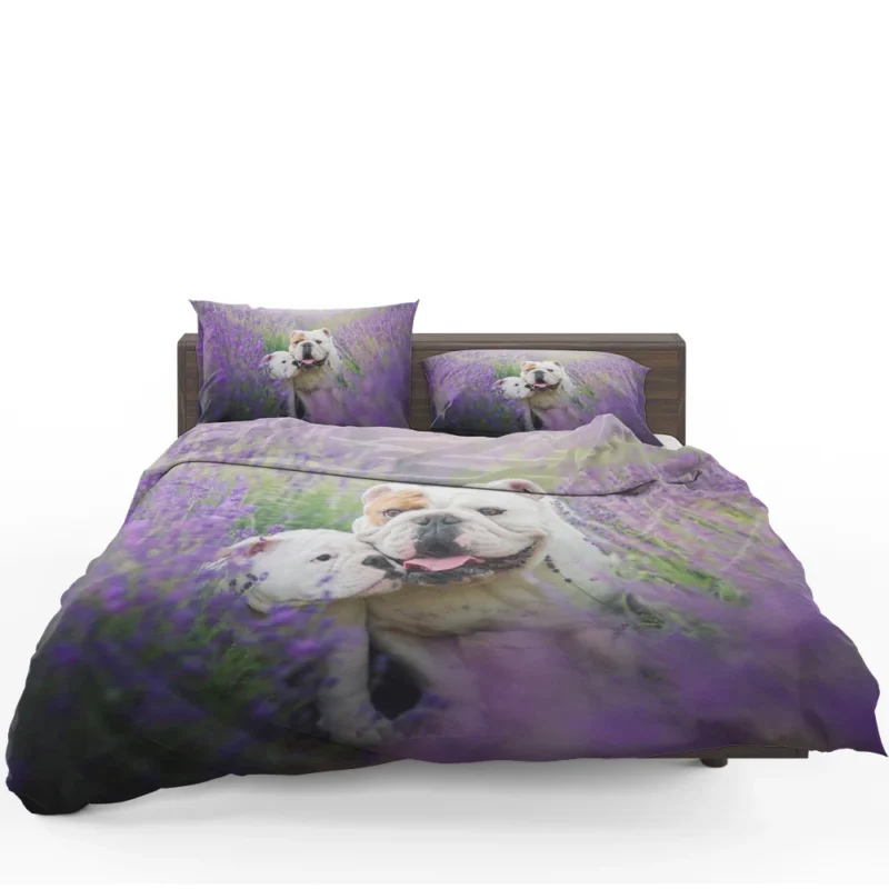 Lavender Dreams with Puppies: Bulldog Quartet Bedding Set