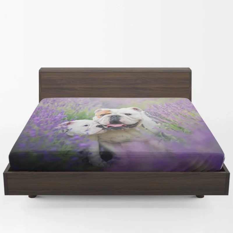 Lavender Dreams with Puppies: Bulldog Quartet Fitted Sheet 1