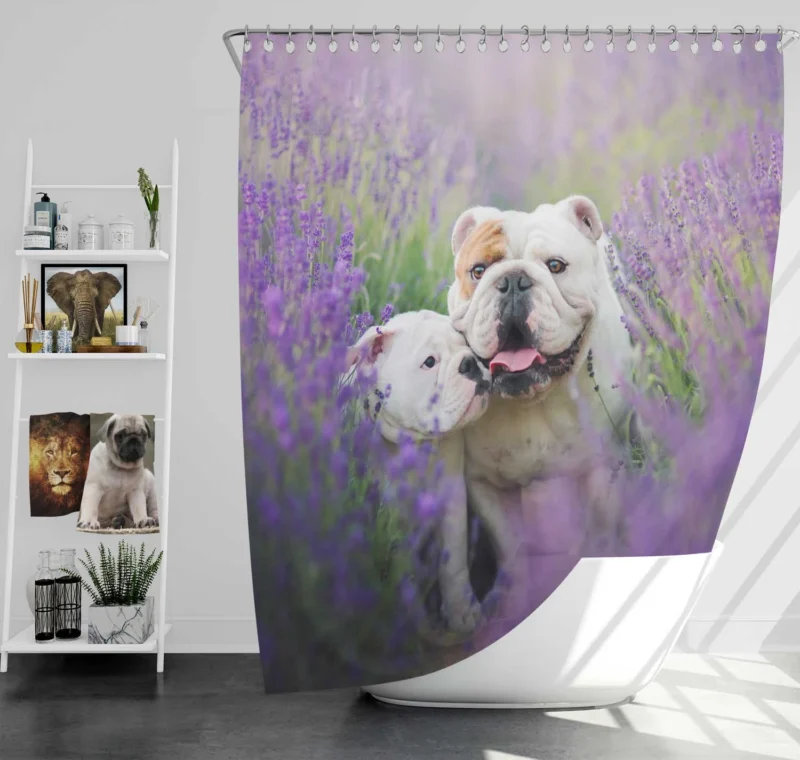 Lavender Dreams with Puppies: Bulldog Quartet Shower Curtain