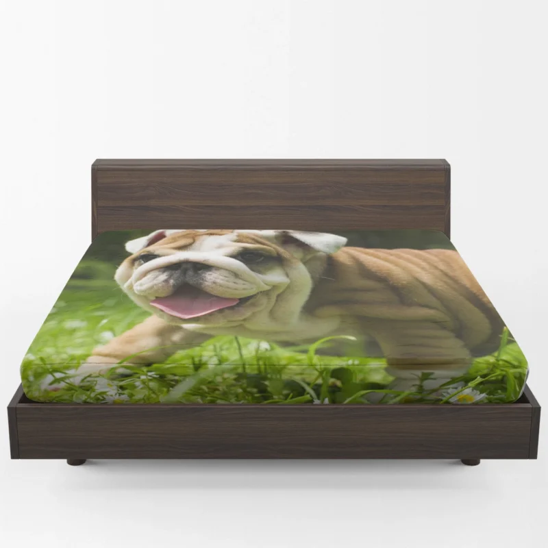 Lavender Dreams with Puppies: Loyal Bulldog Quartet Fitted Sheet 1