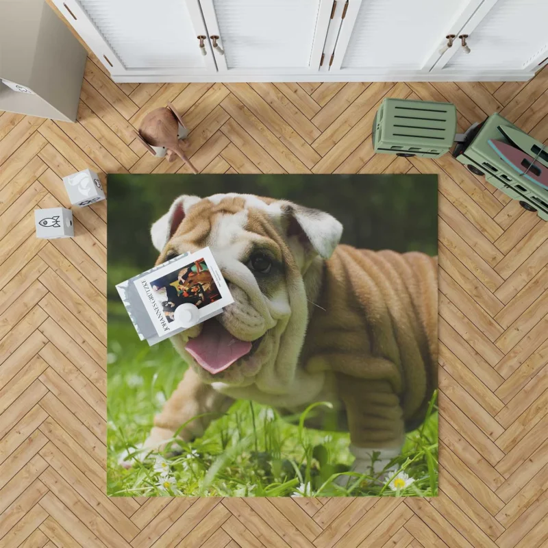 Lavender Dreams with Puppies: Loyal Bulldog Quartet Floor Rug