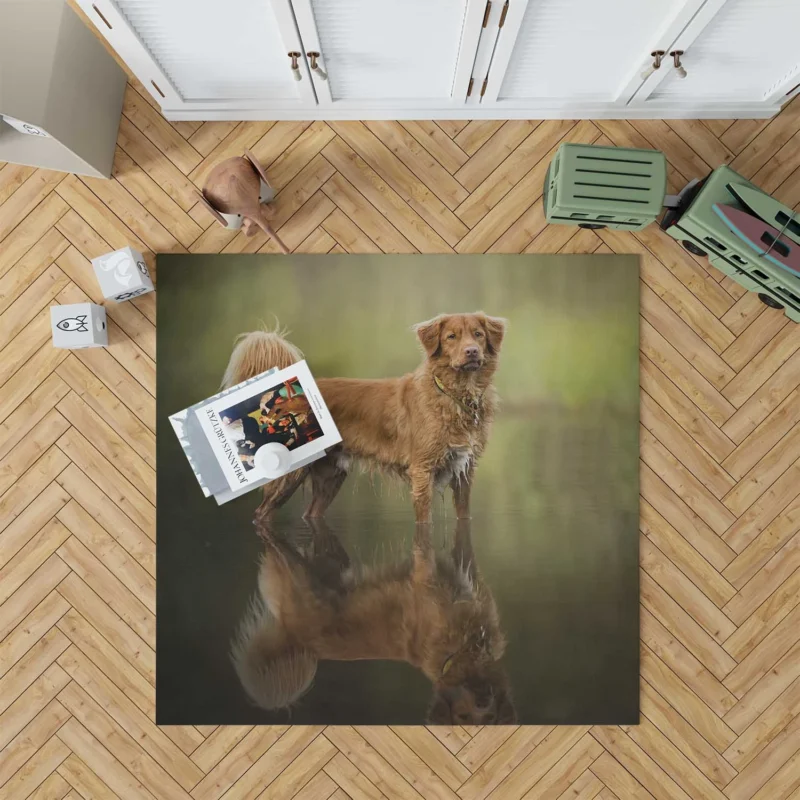 Lavender Quartet: Newfoundland Dogs Floor Rug